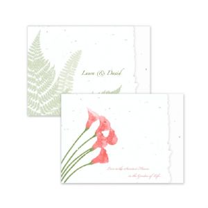 Deckled Edge Invitations