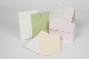 Blank Cards & Envelopes