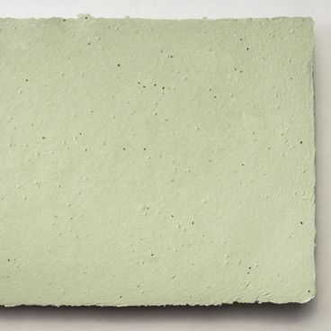 Grow-a-Note® Sheet Green