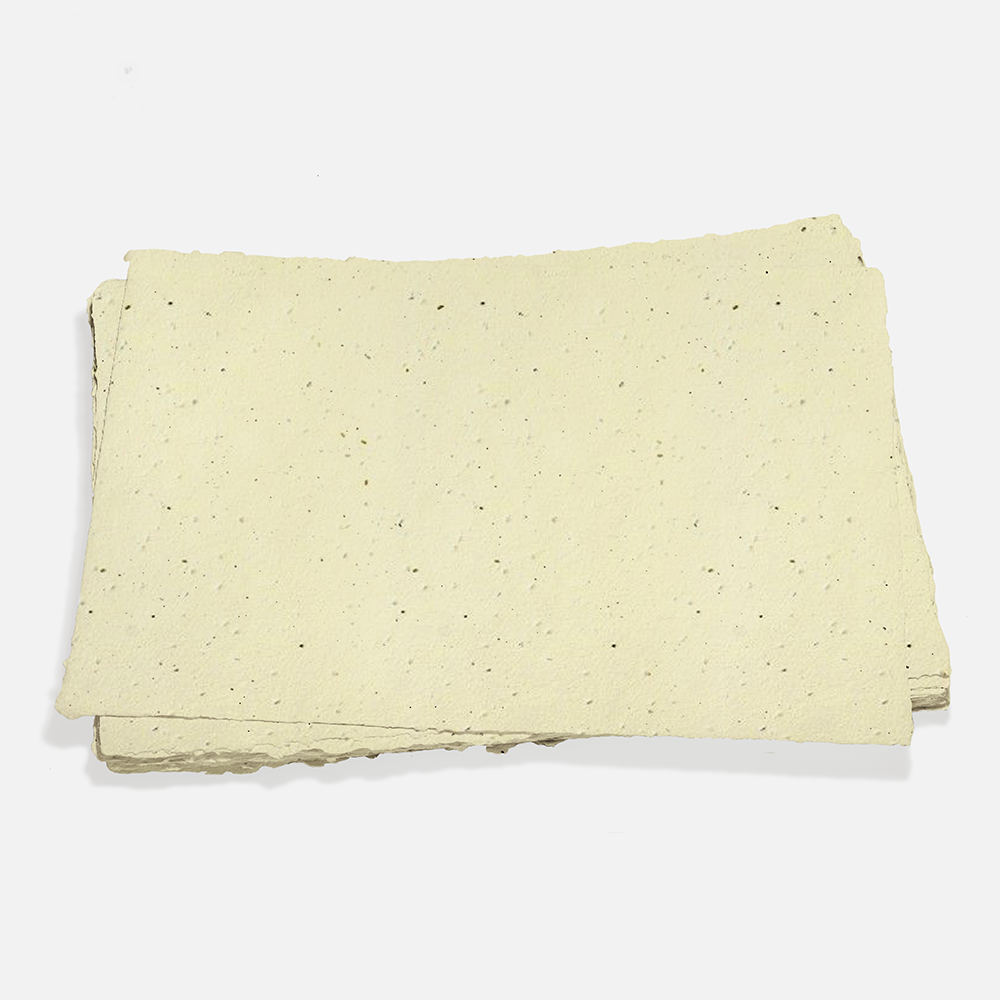 Grow-A-NoteÃ‚Â® Sheet Butterscotch