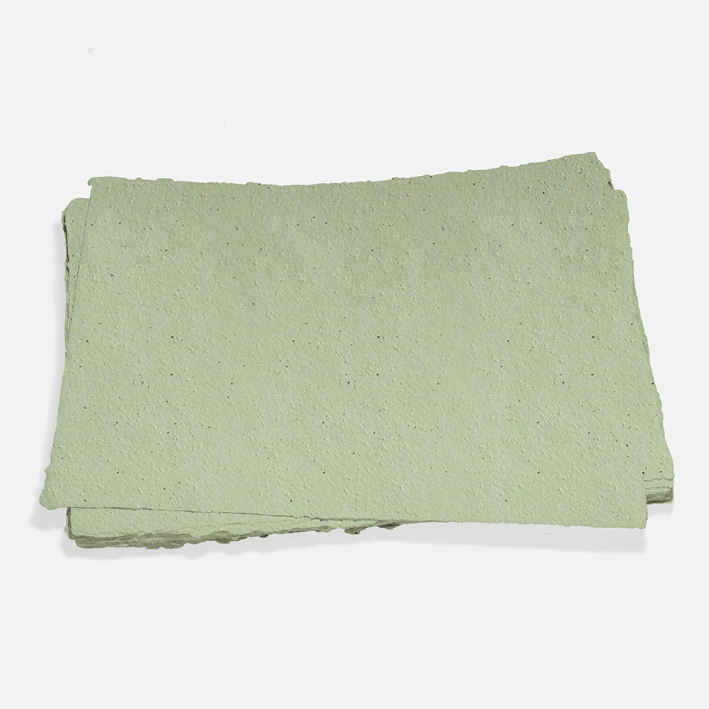 Grow-A-NoteÂ® Sheet Catnip