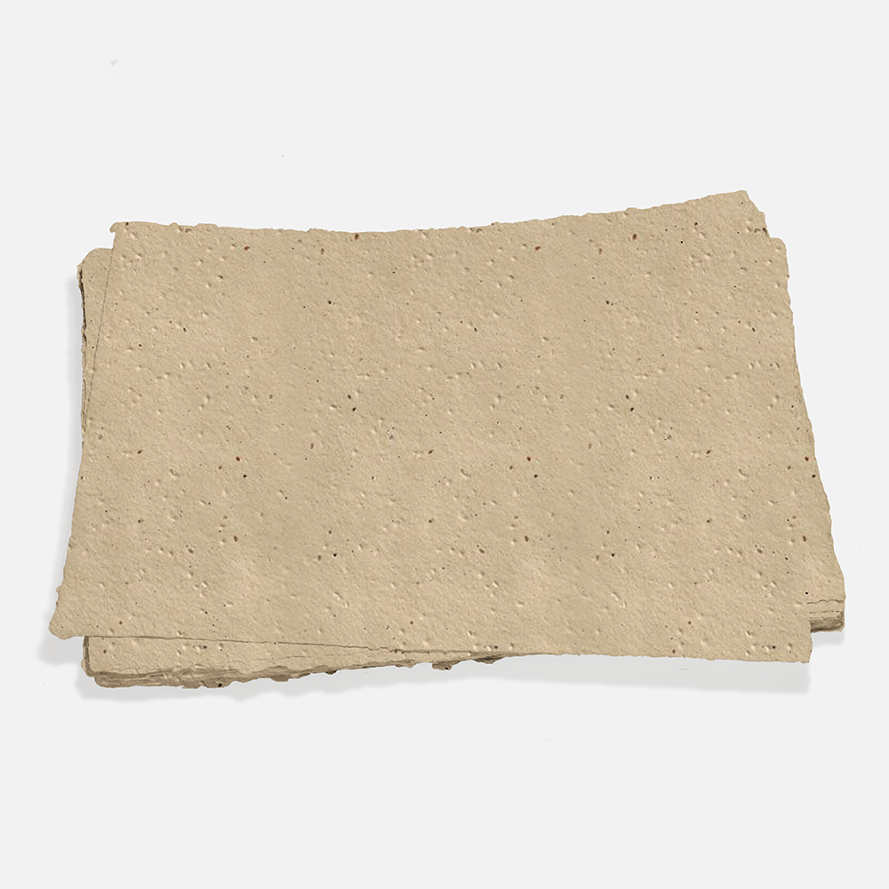 Grow-A-NoteÂ® Sheet Chai Tea