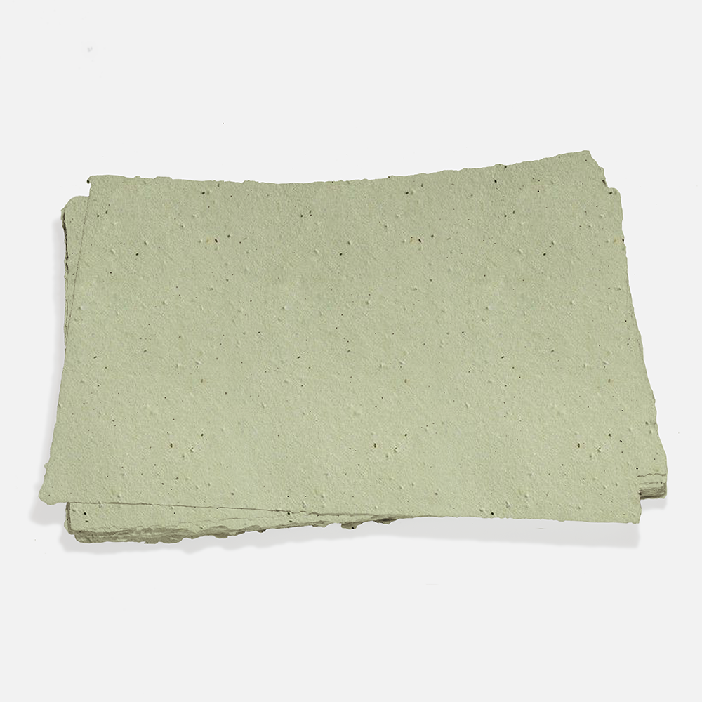 Grow-A-NoteÃ‚Â® Sheet Green