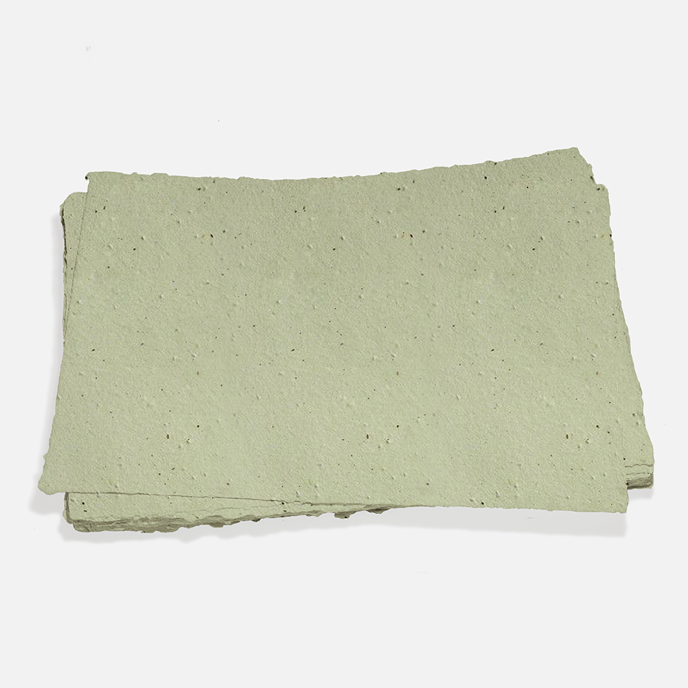 Grow-A-Note® Sheet Green