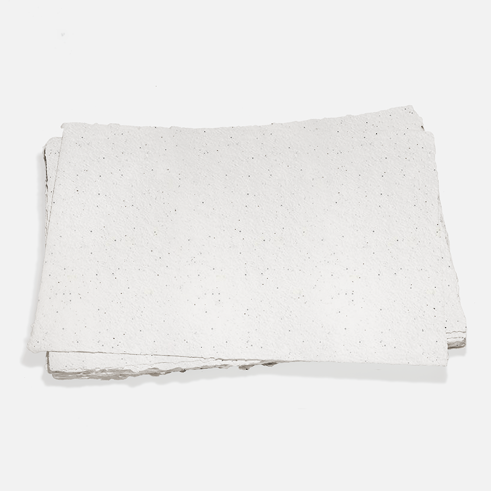 Grow-A-Note® Sheet Natural White Poppy