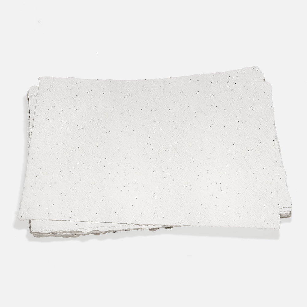Grow-A-NoteÃ‚Â® Sheet Natural White Poppy