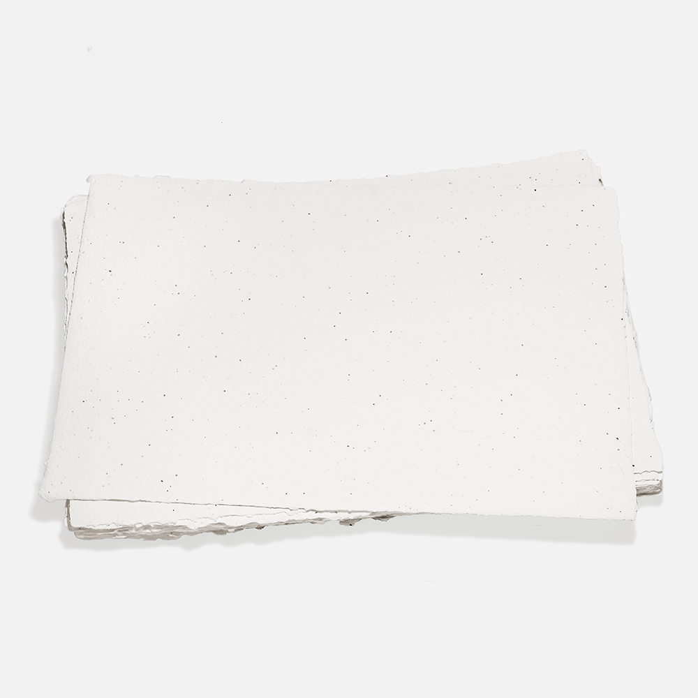 Grow-A-NoteÃƒâ€šÃ‚Â® Sheet Natural White
