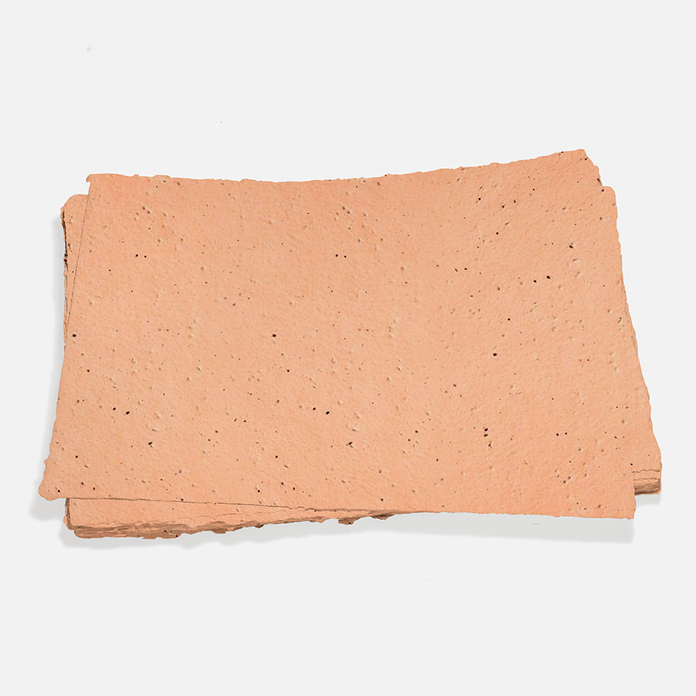 Grow-A-NoteÂ® Sheet Peach Echo