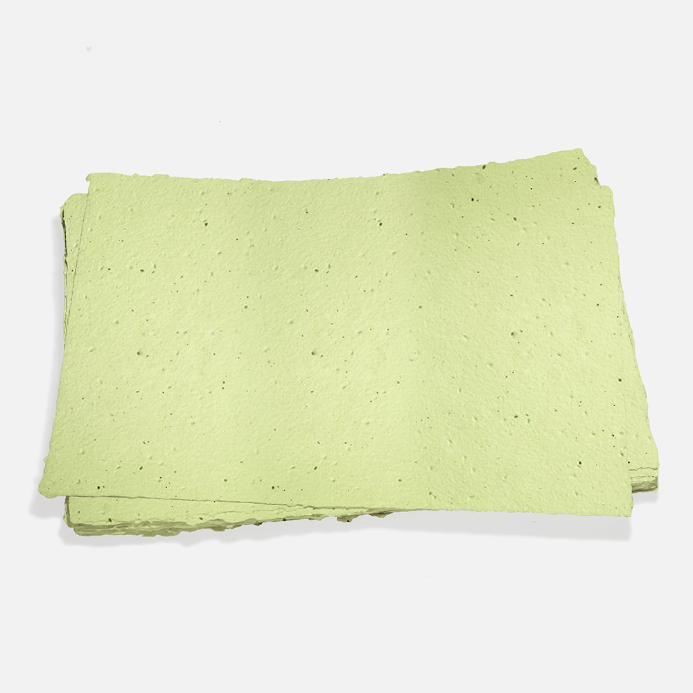 Grow-A-NoteÂ® Sheet Pistachio