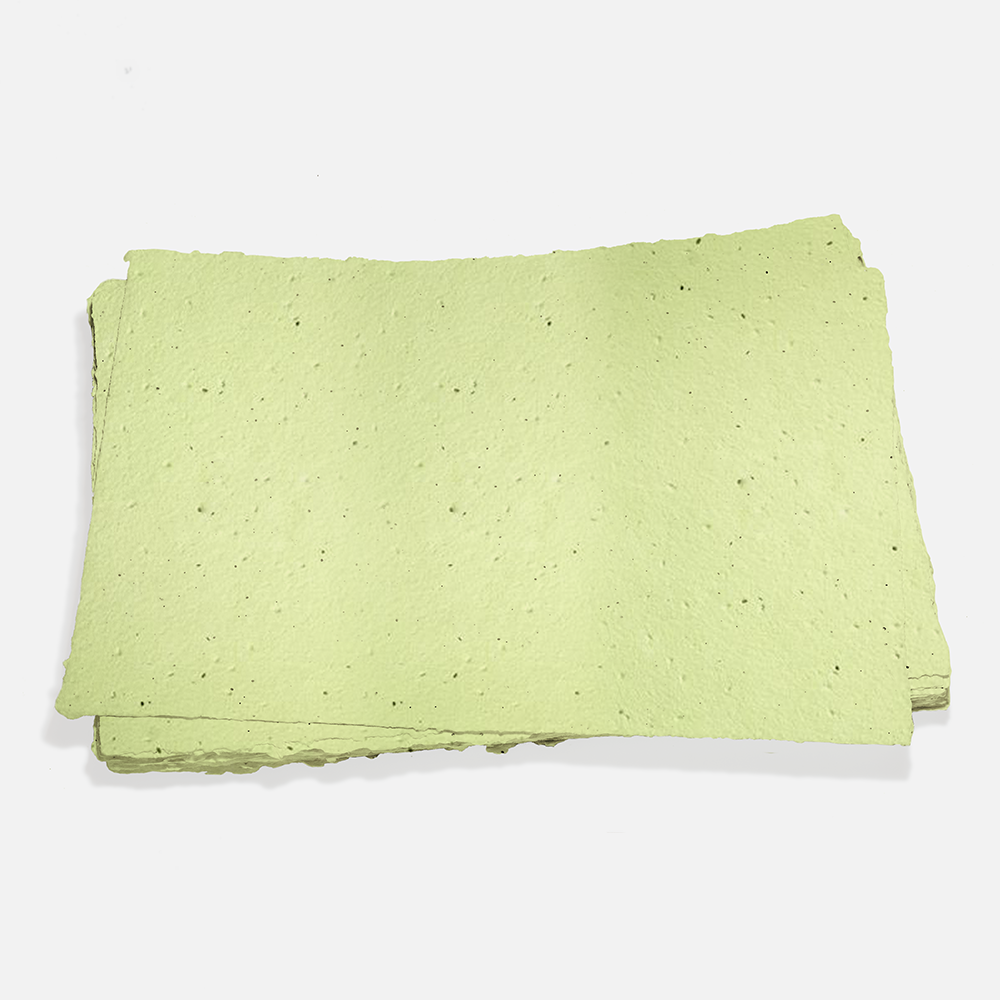 Grow-A-Note® Sheet Pistachio