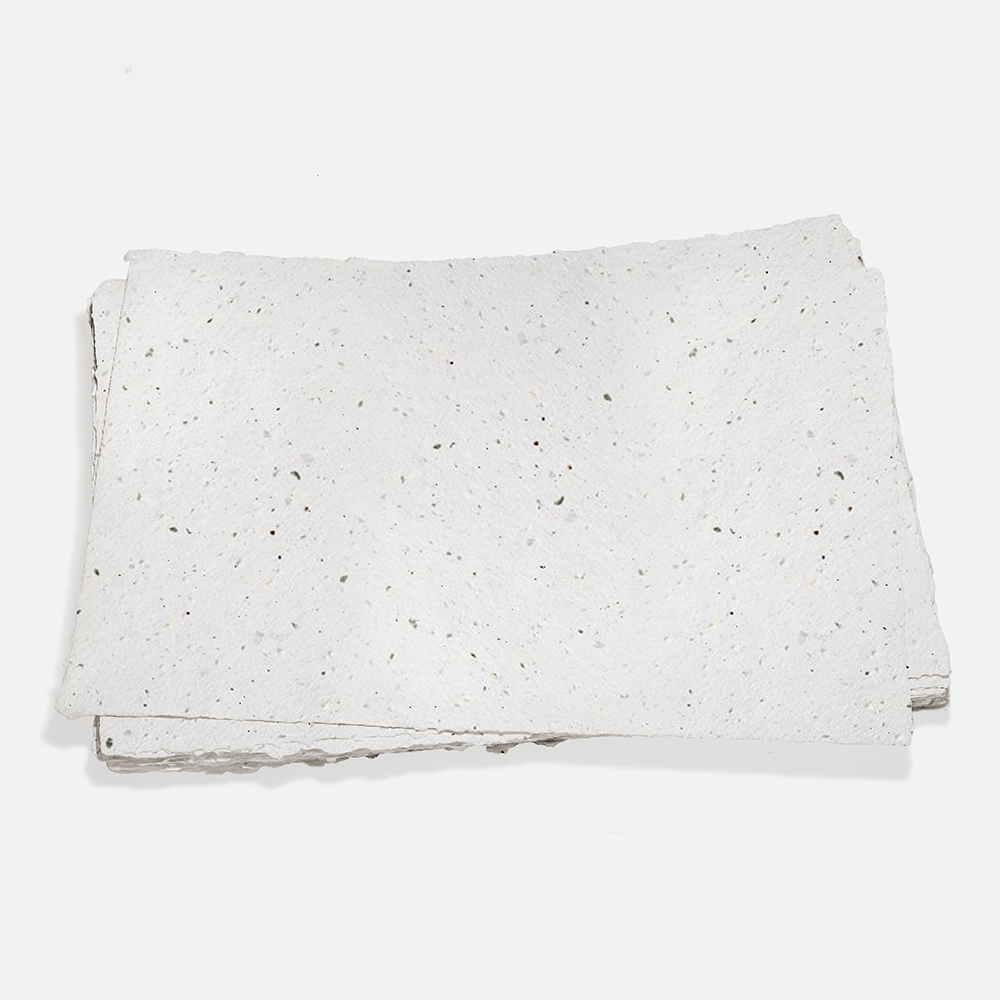 Grow-A-NoteÂ® Sheet Speckled Moss