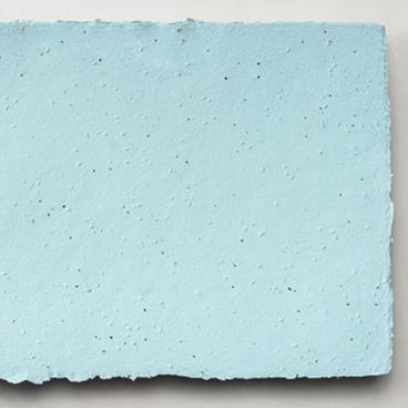 Grow-a-Note® Sheet Oceana