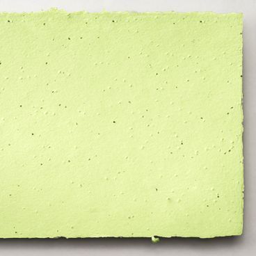 Grow-A-Note® Sheet Pistachio