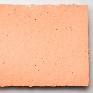 Grow-A-Note® Sheet Peach Echo