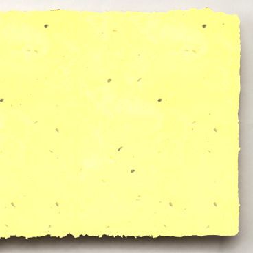 Grow-a-Note® Sheet Sunflower