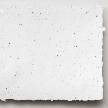 Grow-a-Note® Sheet Speckled Moss