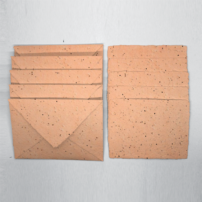 Grow-A-NoteÃƒâ€šÃ‚Â® Deckled Envelope - Peach 