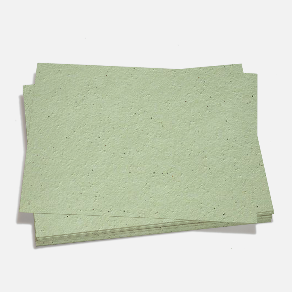 Grow-A-NoteÂ® Sheet Catnip