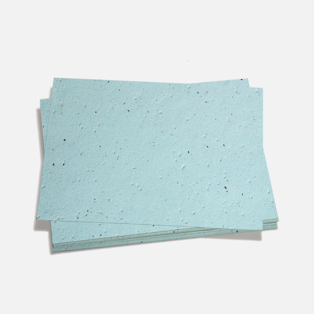 Grow-A-Note® Sheet Oceana