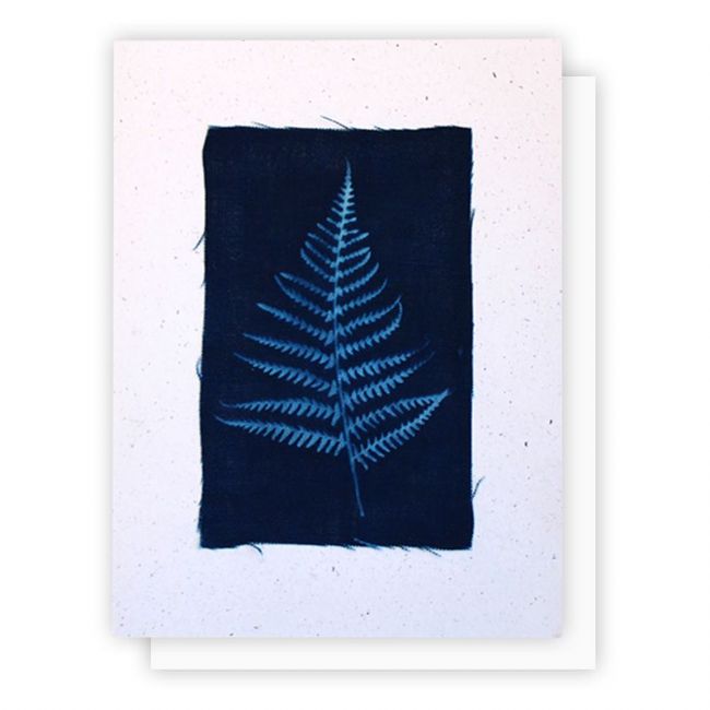 Hemp Heritage® Holiday Cyanotyping Fern