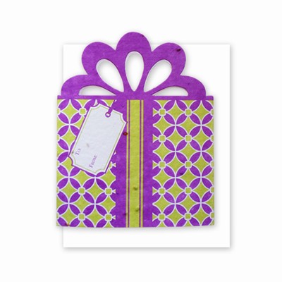 Grow-A-Note® Personal Touch Gift Card Holder™ Purple/Green 4 Pack