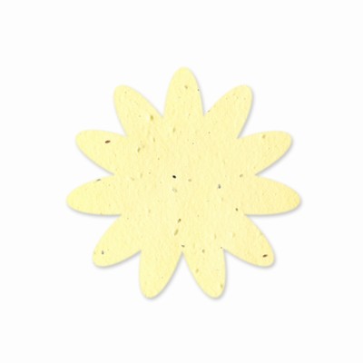 Plantable Daisy- 10 pack