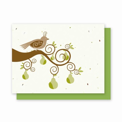 Grow-A-Note® Partridge