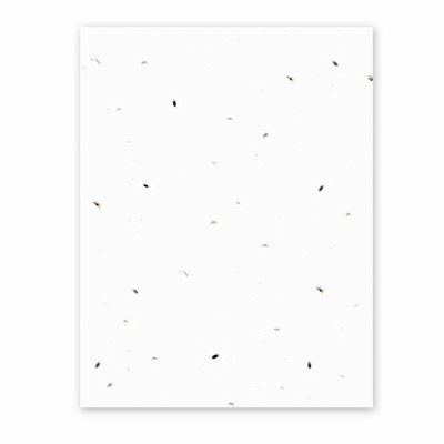 Grow-a-Note® Lettuce Seed Sheet Natural White