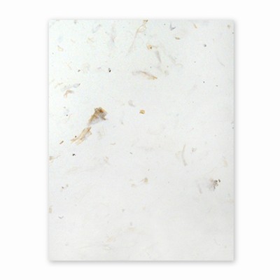 PaperEvolution® Handmade Sheet- Gilroy Garlic, Natural White