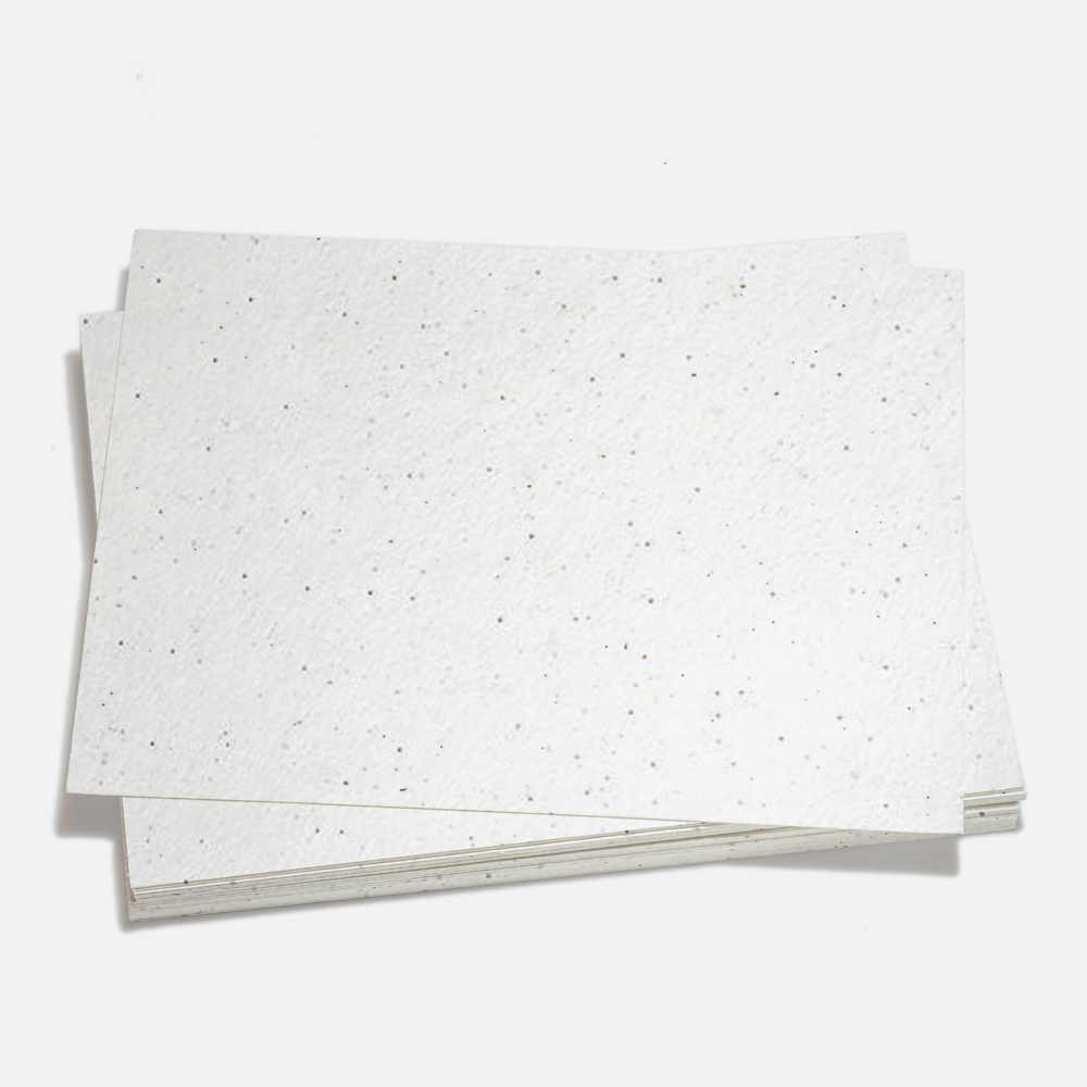 Grow-A-Note® Sheet Natural White Poppy