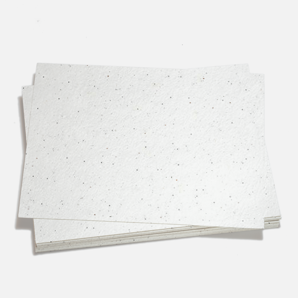 Grow-A-NoteÃ‚Â® Sheet Natural White Poppy