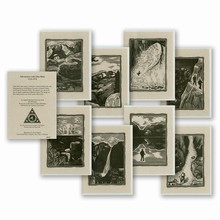 John Muir 12 Organic Cotton Card Variety Pack