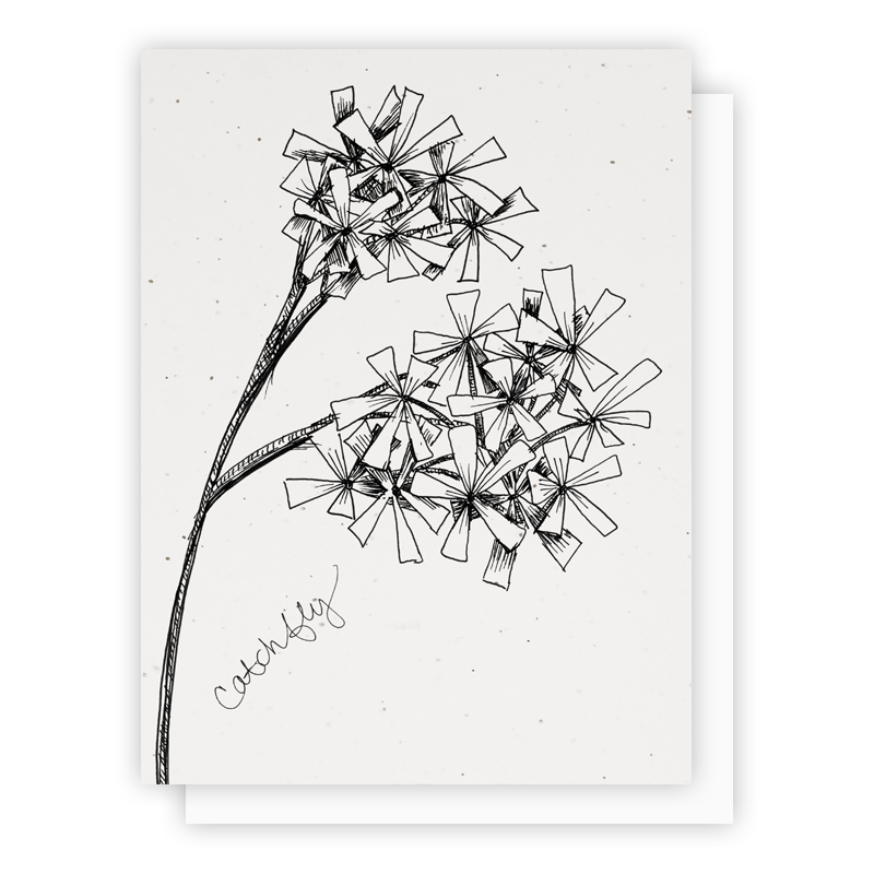 Grow-a-Note® Catchfly Card