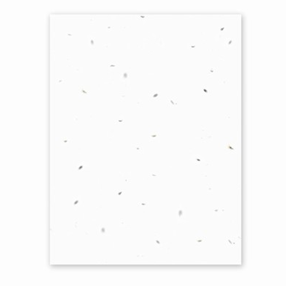 Grow-A-NoteÂ® Parsley Seed Sheet Natural White
