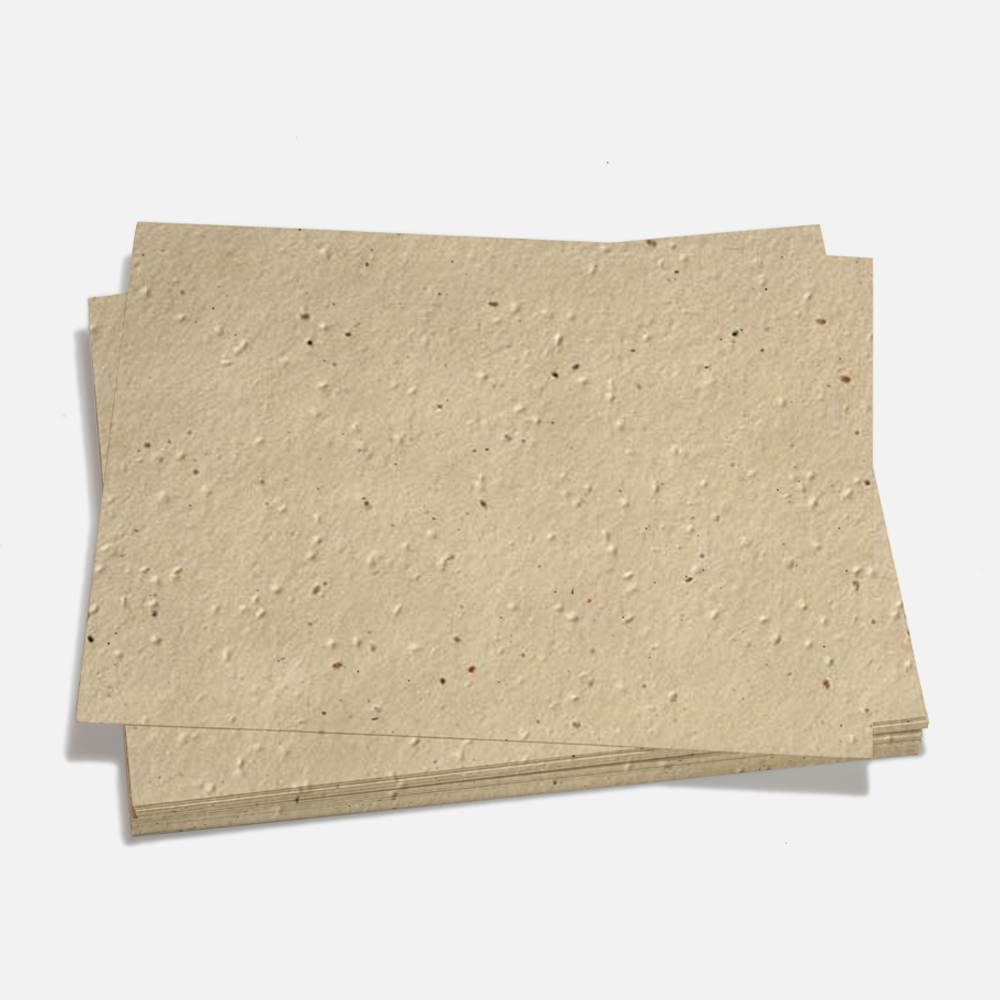 Grow-A-NoteÂ® Sheet Chai Tea