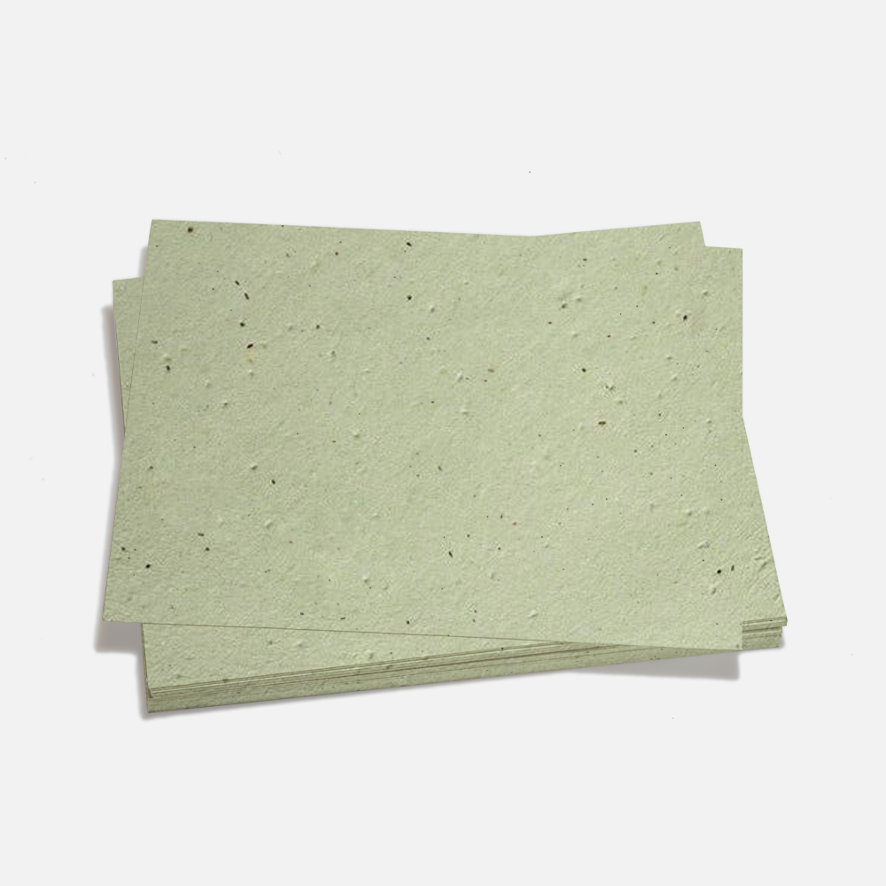 Grow-A-Note® Sheet Green