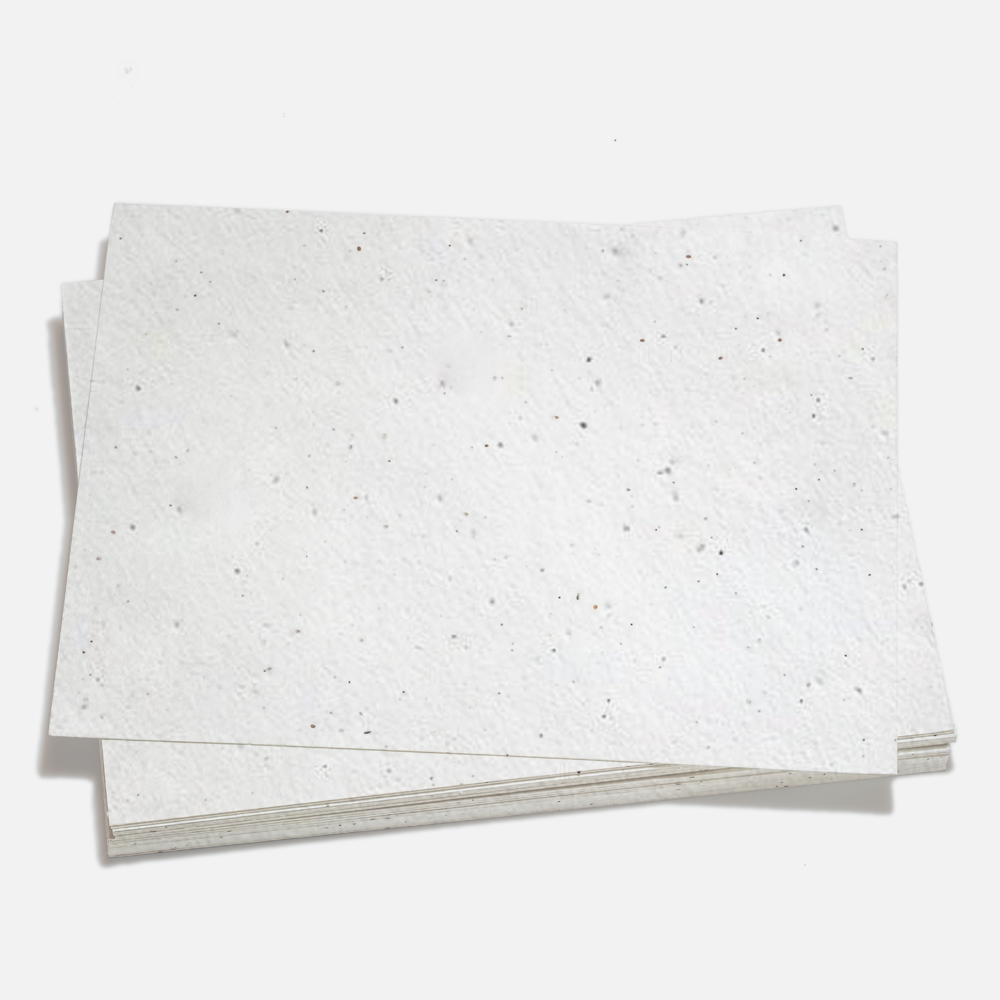 Grow-A-NoteÃƒâ€šÃ‚Â® Sheet Natural White