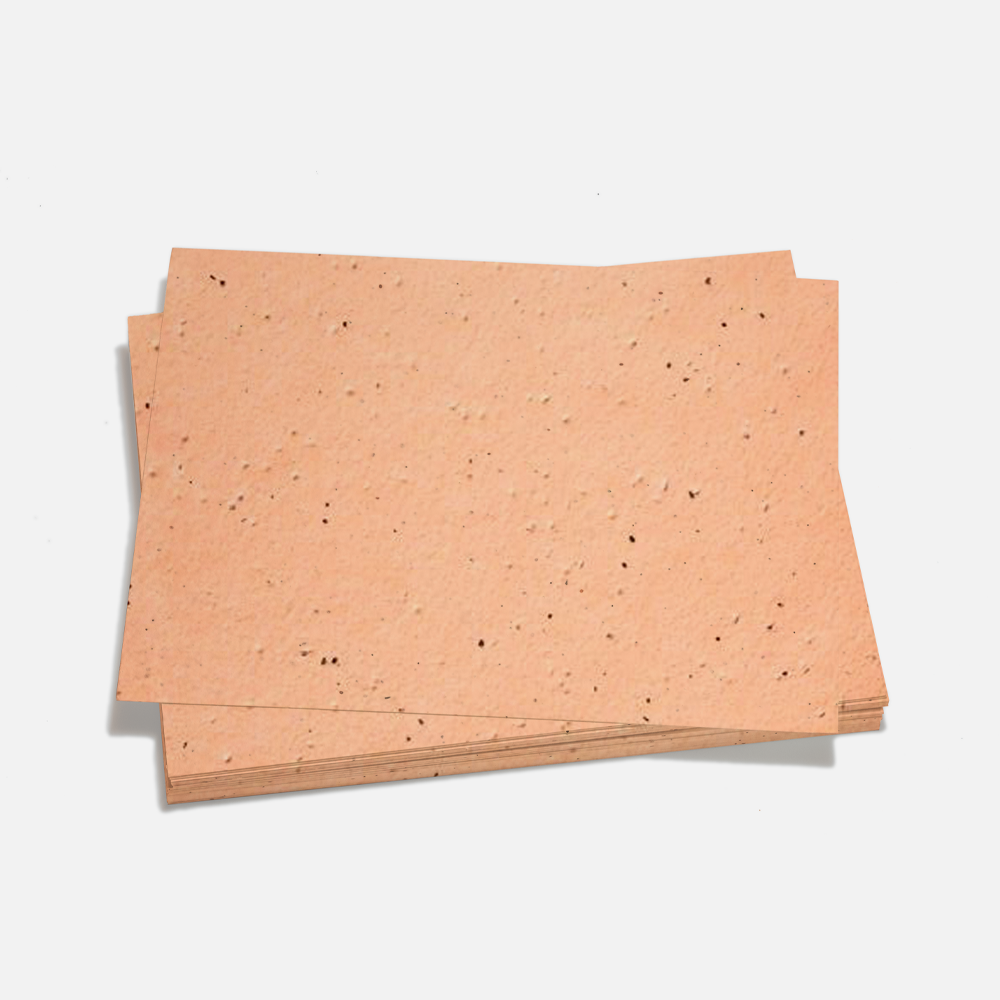 Grow-A-NoteÂ® Sheet Peach Echo