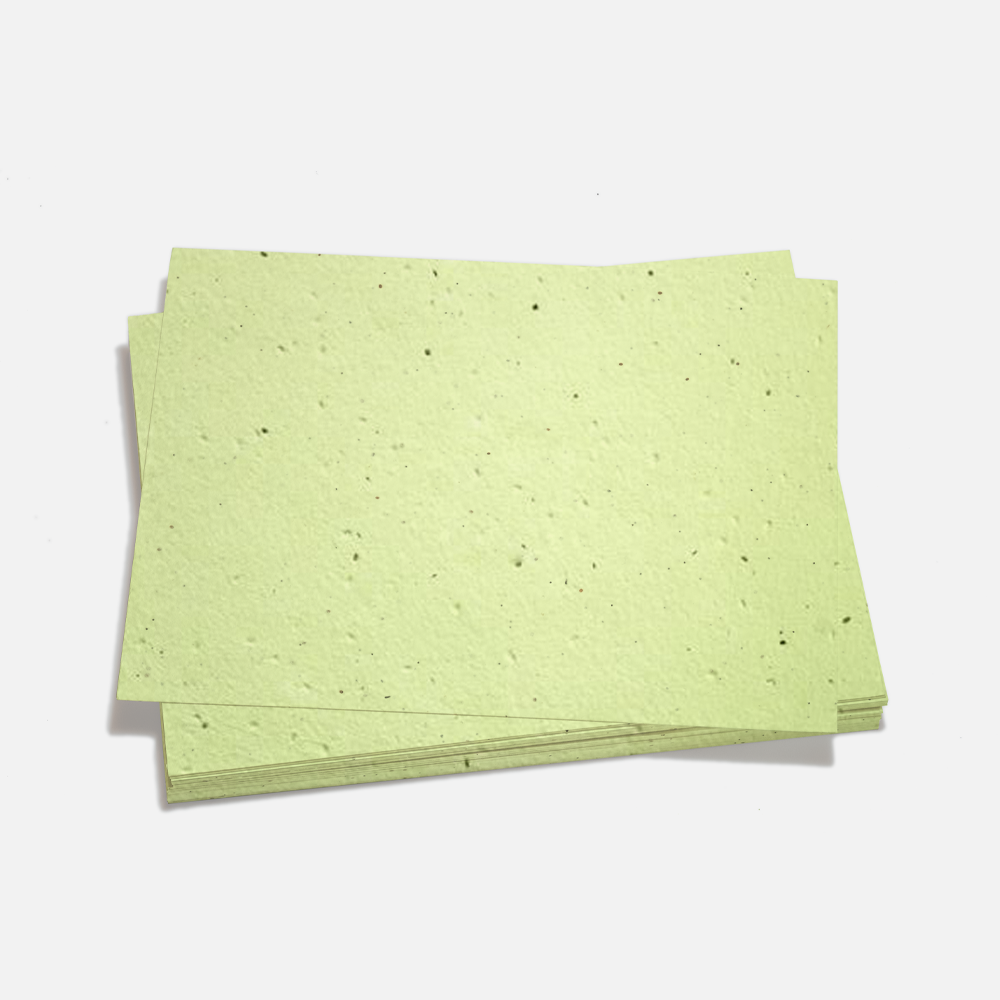 Grow-A-NoteÂ® Sheet Pistachio