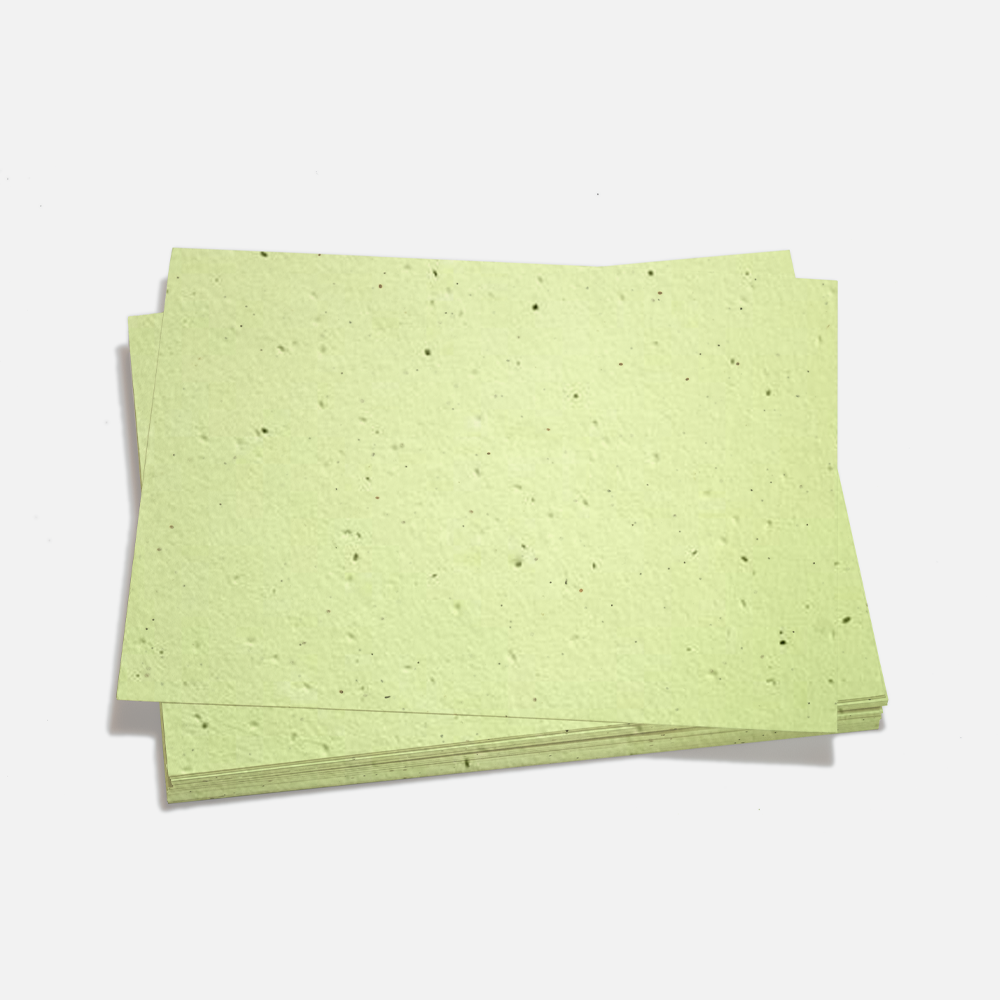 Grow-A-Note® Sheet Pistachio