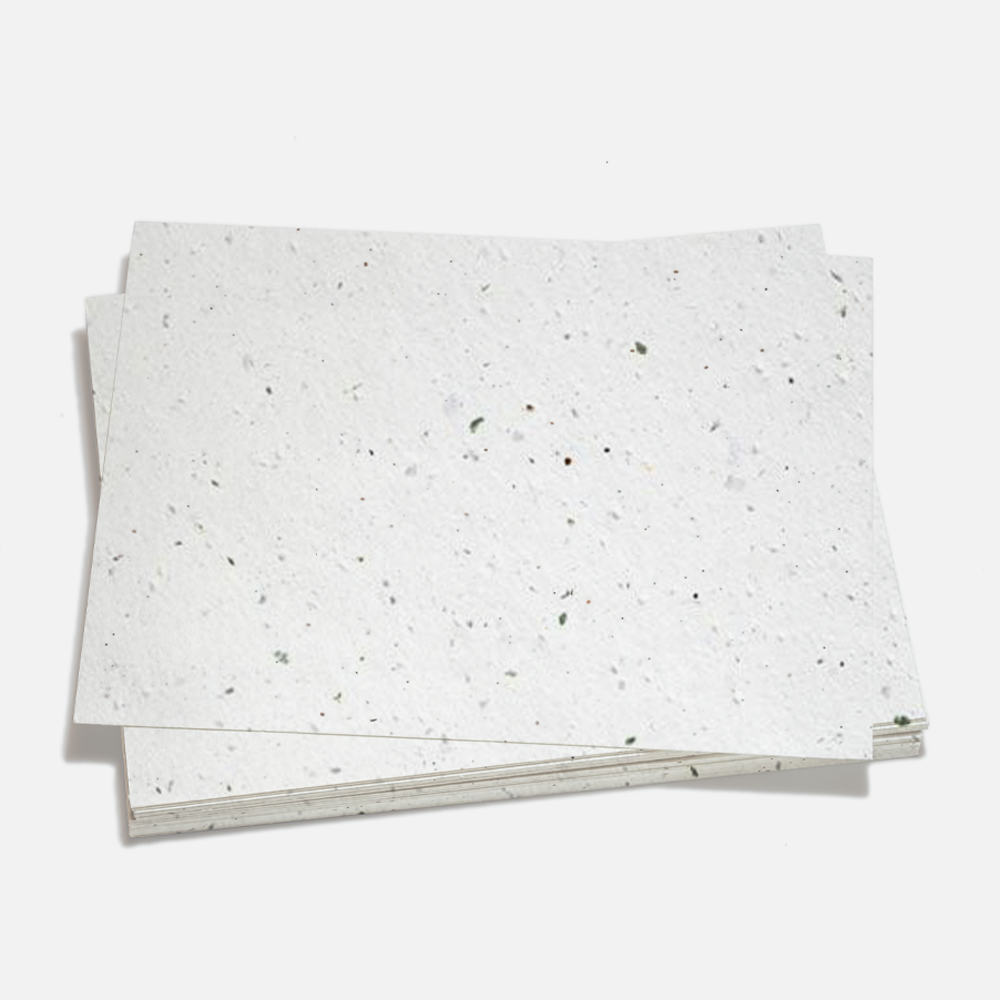Grow-A-NoteÂ® Sheet Speckled Moss
