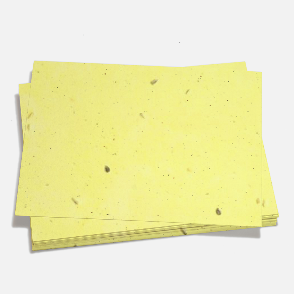 Grow-A-Note® Sheet Sunflower