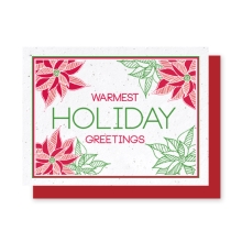 Grow-A-Note® Holiday Poinsettias 
