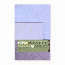 PaperEvolution® Note Set- Gilroy Garlic, Lavender 