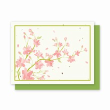 Grow-a-Note® Cherry Blossom