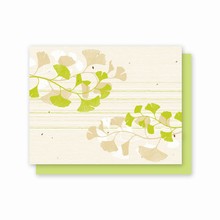 Grow-A-Note® Ginkgo All Occasion