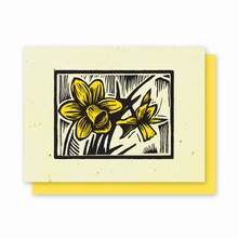 Grow-a-Note® Woodcut Letterpress Daffodil