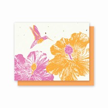 Grow-A-Note® All Occasion Hummingbird Hibiscus