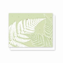 Grow-A-Note® All Occasion Fern