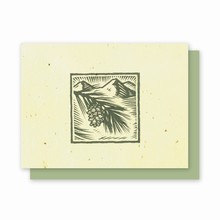 Grow-A-Note® Pine Cone Card